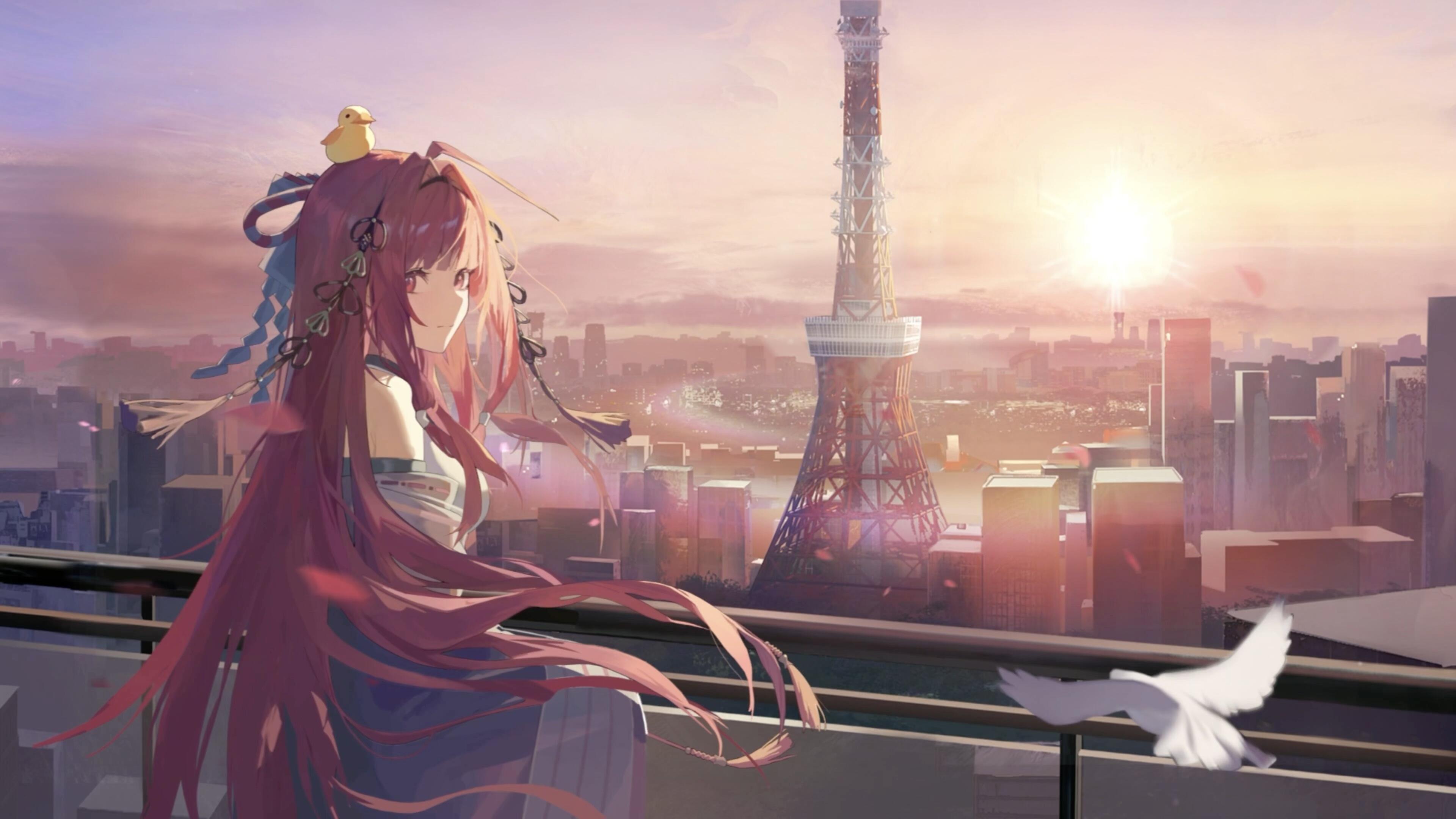 Banner image of the blog